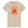 Heavy Cotton  100% Cotton T Shirt Thumbnail
